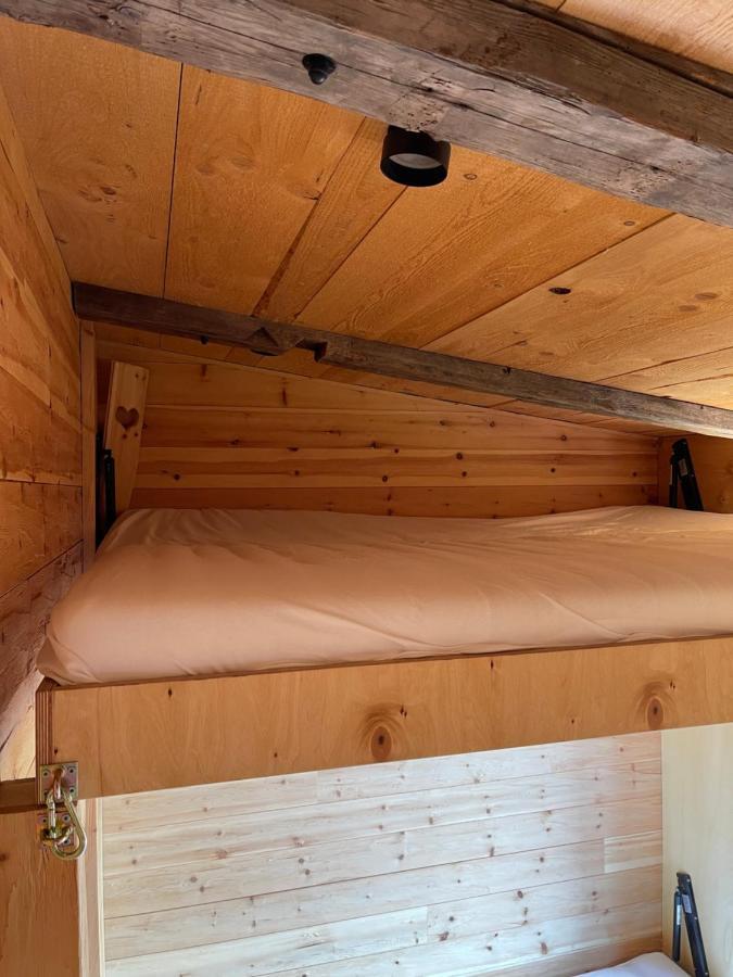 Chaleny - Das Erste Tiny House Chalet Im Zillertal Hainzenberg Eksteriør billede